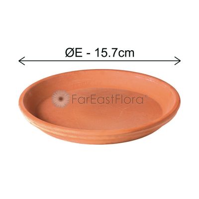 Deroma Sottovaso Cotto 15CM (Ø15.7xH2.5cm)