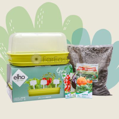 Lil Plant Explorer Kit - Green