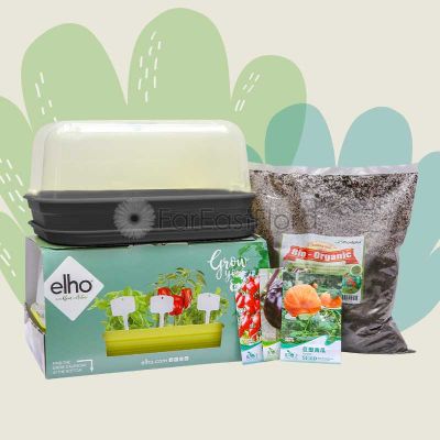 Lil Plant Explorer Kit - Black