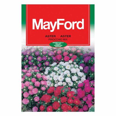 Mayford Seeds Aster - Pinocchio Dwarf Double Mix