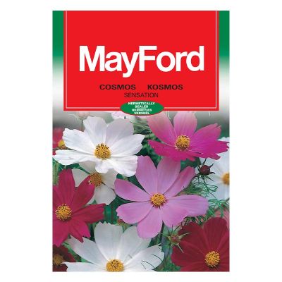 Mayford Seeds Cosmos - Sensation Mixed