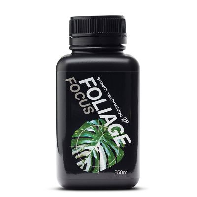 GT Foliage Focus (250ML)