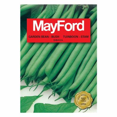 Mayford Seeds Garden Bean  Bush - Sibaya