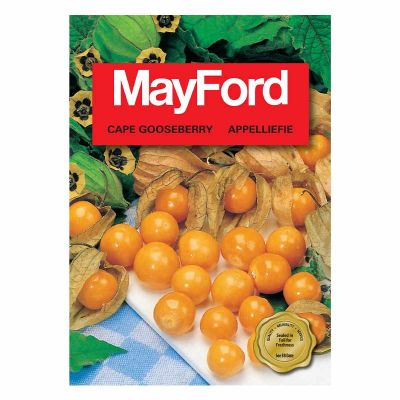 Mayford Seeds Gooseberry - Cape Gooseberry