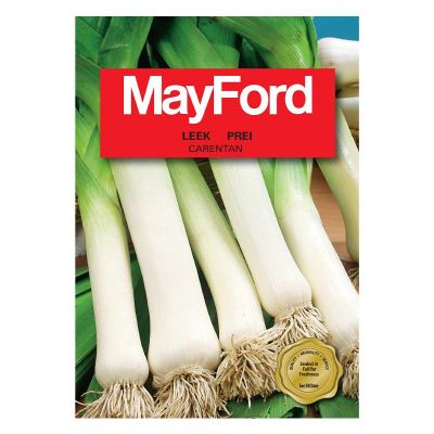 Mayford Seeds Leek - Carentan