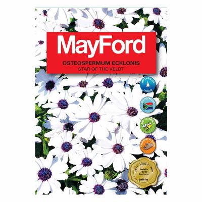 Mayford Seeds Osteospermum - Star of the Veldt