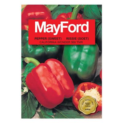 0019447 PEPPERSWEET California Wonder MAYFORD SEEDS