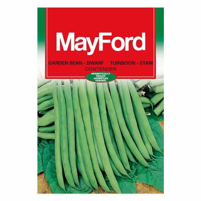 Mayford Seeds Garden Bean Bush - Contender