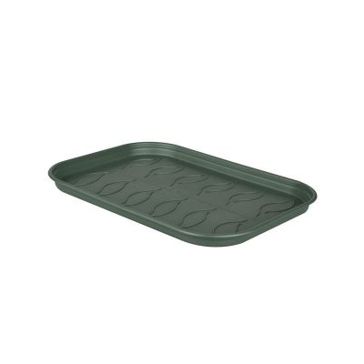 Green Basics Grow Saucer (M)