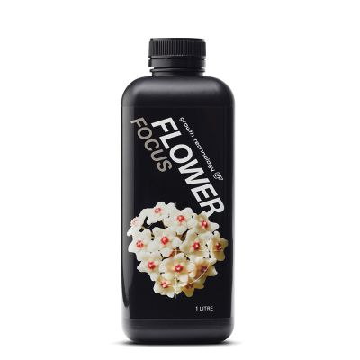 GT Flower Focus (1L)