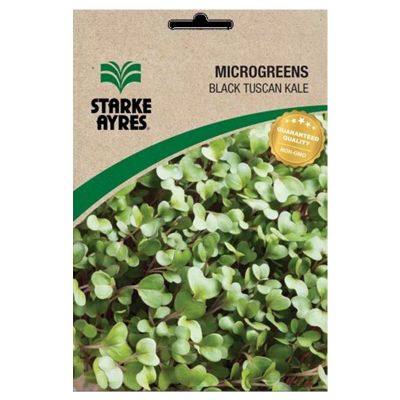 Starke Ayres Seeds V7080 Kales Black Tuscan 