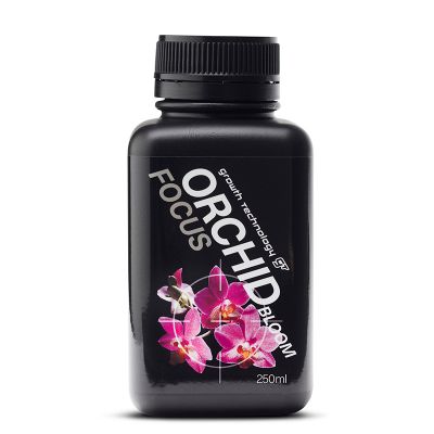 GT Orchid Focus Bloom (250ML)