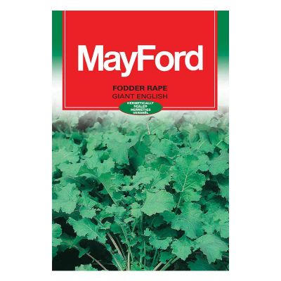 Mayford Seeds Rape - Giant English