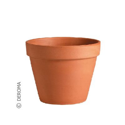 Deroma Vaso Standard Cotto 4CM (Ø4.8xH4cm)