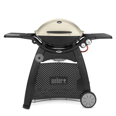 Weber Q 3200 Gas Grill